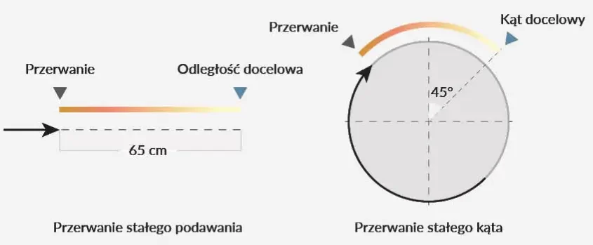 Szybkie wyj. impulsowe i kontrola pozycjonowania_