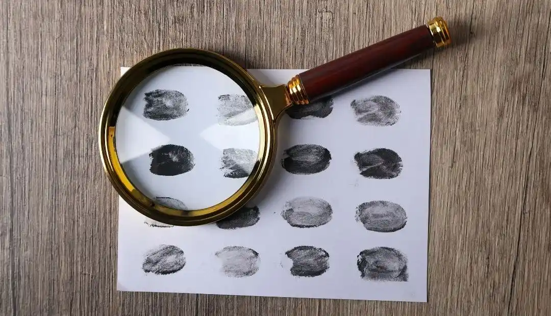 śledzenie produkcji